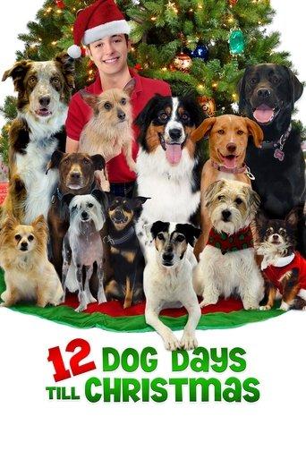 12 Dog Days Till Christmas film afişi