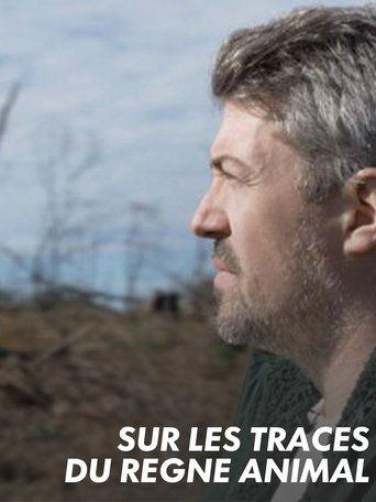 Sur les traces du règne animal film afişi