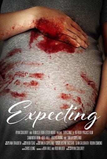 Expecting film afişi