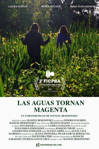 When the waters turn Magenta film afişi