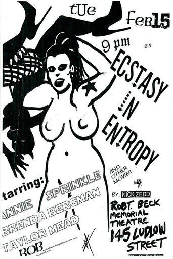 Ecstasy in Entropy film afişi