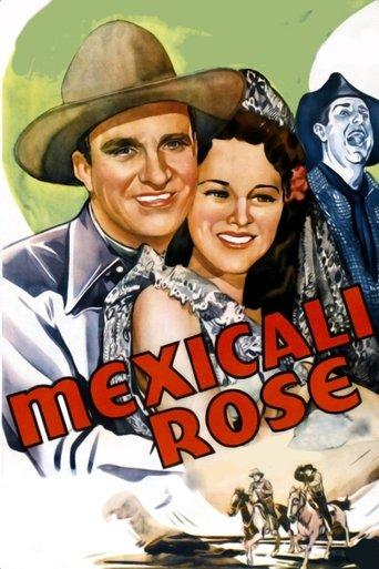 Mexicali Rose film afişi