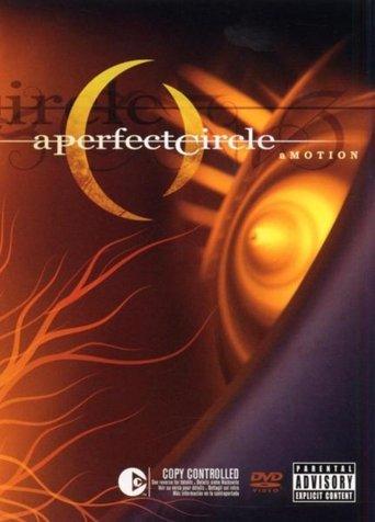 A Perfect Circle: aMOTION film afişi