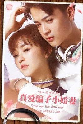 真爱骗子小娇妻 film afişi