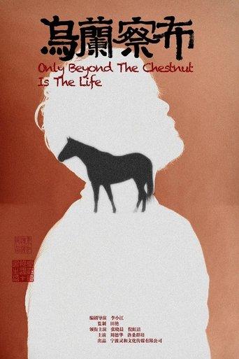 乌兰察布 film afişi