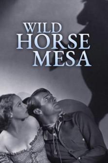 Wild Horse Mesa film afişi
