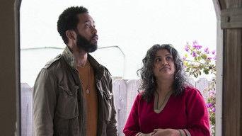 Research Problems, Reef Problems, Punitive Problems