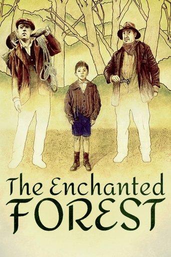 The Enchanted Forest film afişi