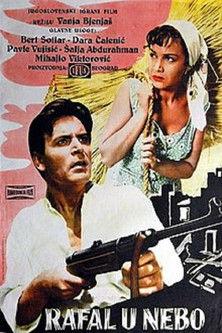 Shots in the Sky film afişi