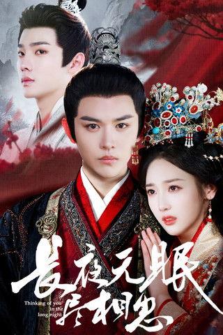 长夜无眠尽相思 dizi afişi