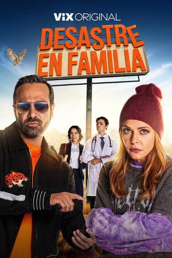 Family Disaster film afişi