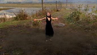 The Winchester Mythology - Shedding Light on The Darkness