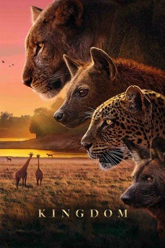 Kingdom dizi afişi
