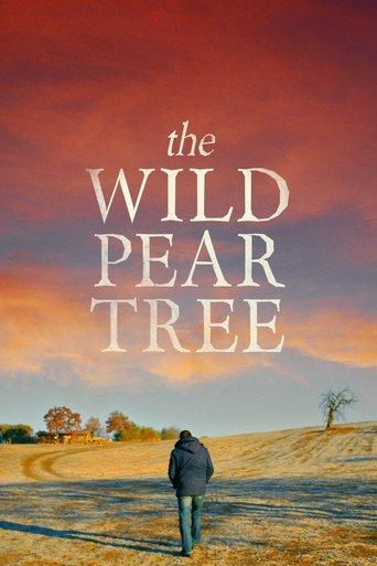 The Wild Pear Tree film afişi