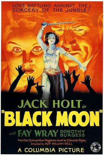 Black Moon film afişi