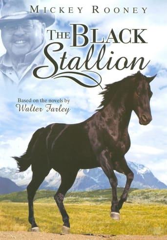 The Adventures of the Black Stallion dizi afişi