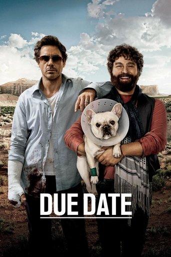 Due Date film afişi