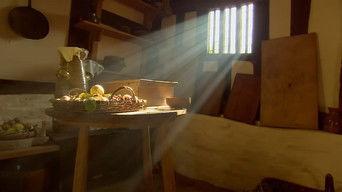 Searching for Shakespeare’s House - Stratford-upon-Avon