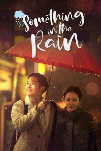 Something in the Rain dizi afişi