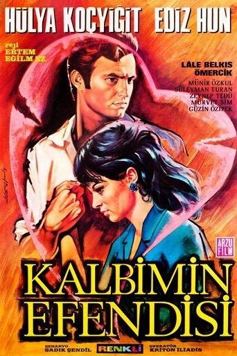 Kalbimin Efendisi film afişi