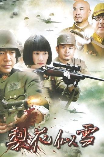 梨花似雪 dizi afişi