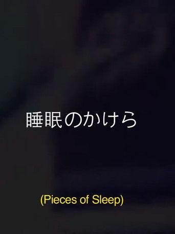 Pieces Of Sleep: The 1993 Japan Tour Re-Imagined film afişi