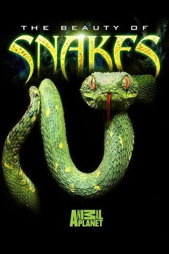 The Beauty of Snakes film afişi