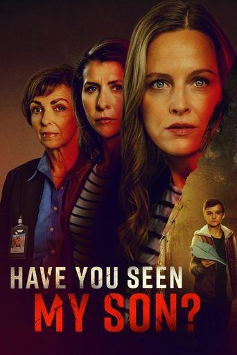 Have You Seen My Son? film afişi
