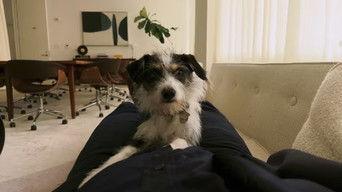 The Pryce Is Wrong II