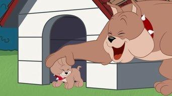 Slinging in the Rain