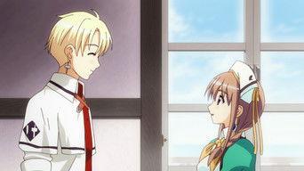 Night of the Meteor Shower