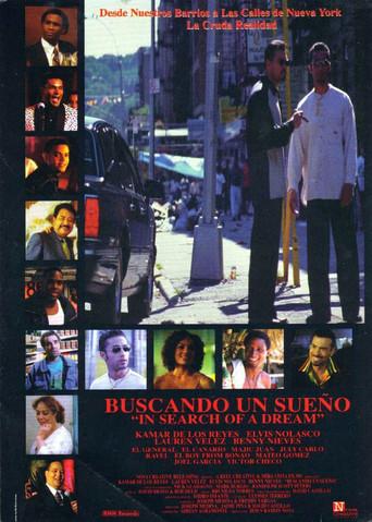 In Search of a Dream film afişi
