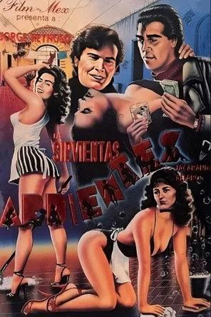 Servant's Day film afişi