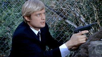 The Survival School Affair