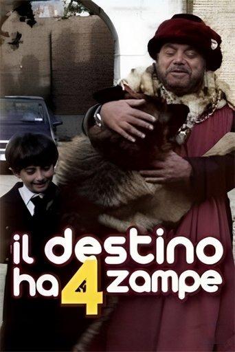 Il destino ha 4 zampe film afişi