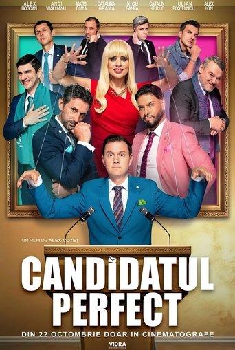 The Perfect Candidate film afişi