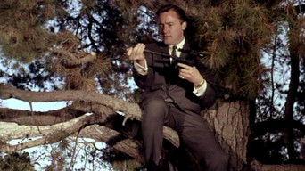 The Indian Affairs Affair