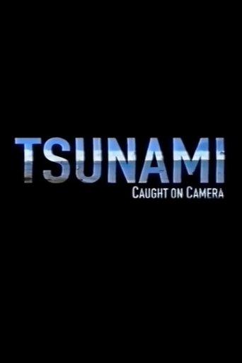 Tsunami: Caught on Camera film afişi