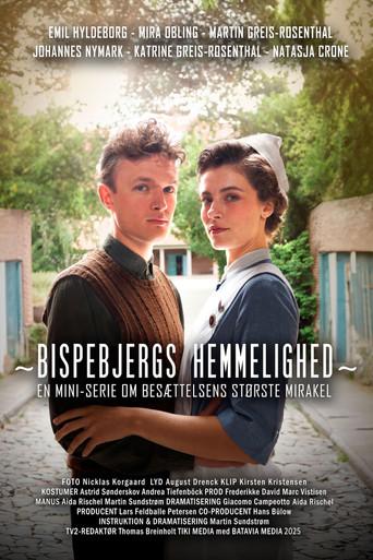 Bispebjergs hemmelighed dizi afişi