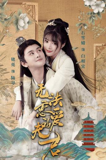 Untouchable Hubby dizi afişi