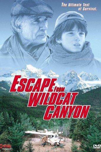 Escape from Wildcat Canyon film afişi