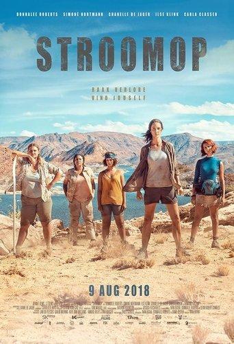 Stroomop film afişi