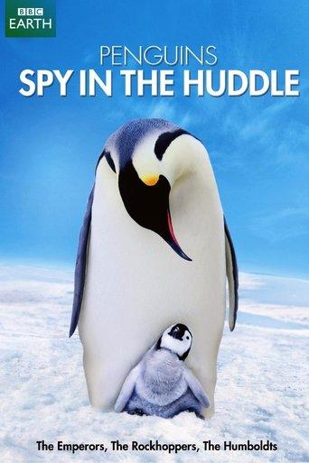 Penguins: Spy in the Huddle dizi afişi