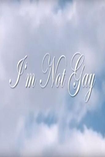 I'm Not Gay film afişi