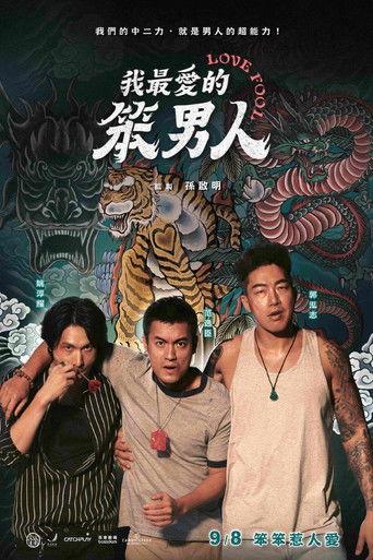 Love Fool film afişi