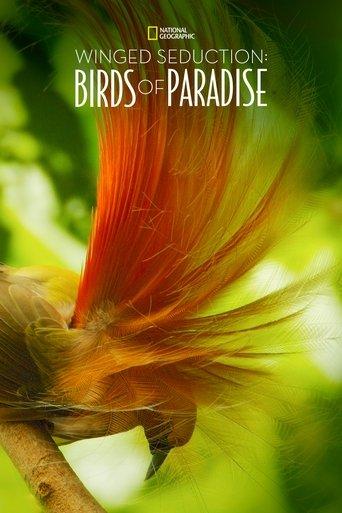 Winged Seduction: Birds of Paradise film afişi