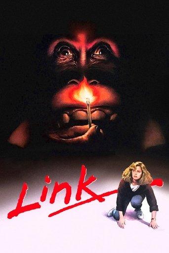 Link film afişi