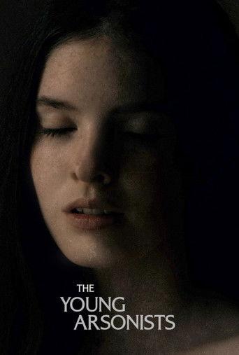 The Young Arsonists film afişi