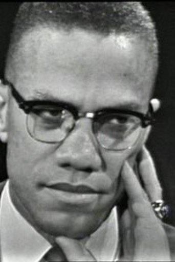 The Negro and the American Promise film afişi