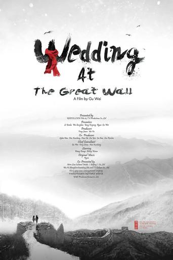 野长城 film afişi